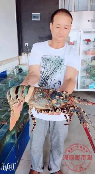 Bắt[-]được[-]tôm[-]hùm[-]khổng[-]lồ[-]dài[-]1,5m,[-]cực[-]kỳ[-]quý[-]hiếm